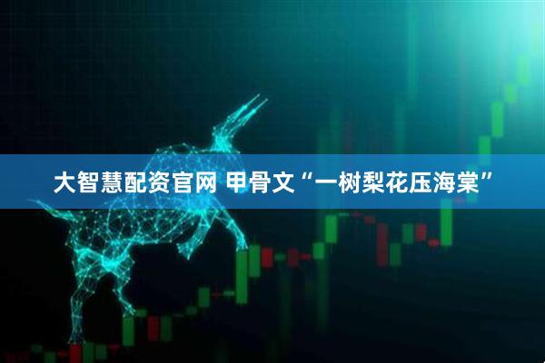大智慧配资官网 甲骨文“一树梨花压海棠”