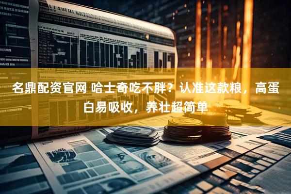 名鼎配资官网 哈士奇吃不胖？认准这款粮，高蛋白易吸收，养壮超简单