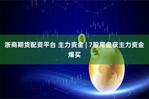 浙商期货配资平台 主力资金 | 7股尾盘获主力资金爆买
