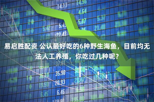 易启胜配资 公认最好吃的6种野生海鱼，目前均无法人工养殖，你吃过几种呢？