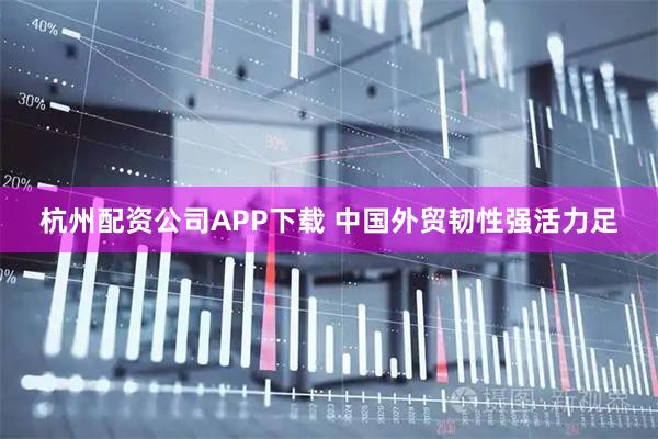 杭州配资公司APP下载 中国外贸韧性强活力足